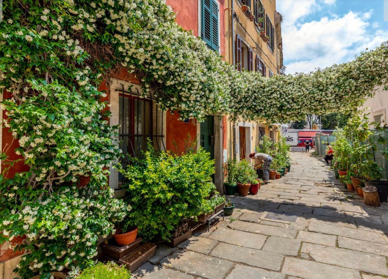 Alighieri Unique Apartment Pula Exterior foto